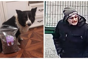 Задержан мужчина, подозреваемый в многолетних кражах собак