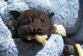 30 поводов начать неделю с позитива