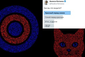 Интересная оптическая иллюзия: красный или синий цвет на переднем плане?