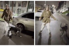В Питере женщина спустила собаку на мужчину, сделавшего ей замечание