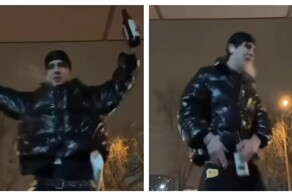 Комнатный гангстер