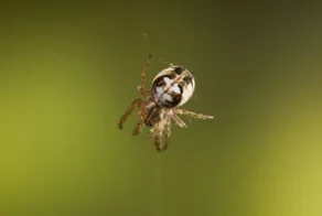 10 фактов, демонстрирующих неожиданные повороты жизненных реалий