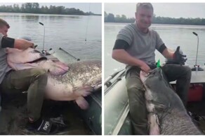 Польские рыбаки поймали огромного сома