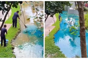 Вода цвета мечты: как пруды на курортах становятся идеальными