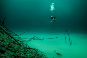 Что убивает жизнь в глубинах Чёрного моря: почему рыбы здесь не живут глубже 150 метров