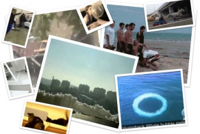 Гифки. Часть 7. (14 гифок)