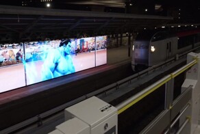 Борец сумо остановил поезд, чтобы спасти кота