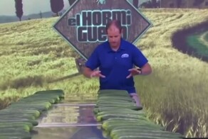 Американец установил странный рекорд