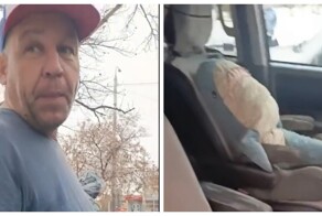 В Омске водитель устроил ДТП и показывал инспекторам «бабушку» из IKEA