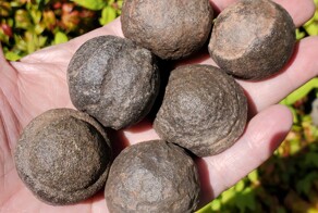 Загадка каменных ягод: от легенд хопи до марсианских тайн