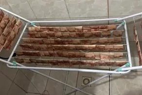 Бразильские полицейские показали, как выглядят по-настоящему отмытые деньги