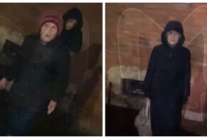 В Питере грозные бабушки напали на спасительницу уличных котят