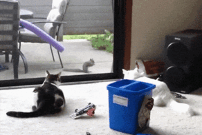 Просто гифки, всякие и&nbsp;разные