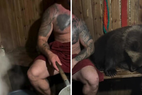 Своя компания: вахтовики парятся с медведем