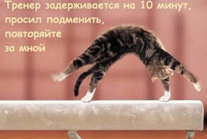 Веселые шутки-картинки