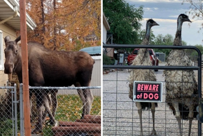 16 любопытных и забавных случаев, когда надпись на табличке говорила одно, а реальность показывала другое