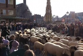 Овцы заполонили Нюрнберг