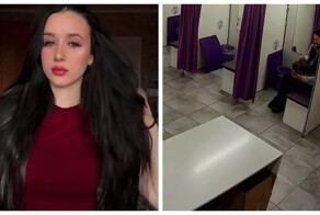 Кошка случайно попала в ПВЗ и обрела новый дом