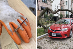 17 случаев, когда удача решила улыбнуться