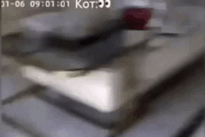 Просто гифки, всякие и разные