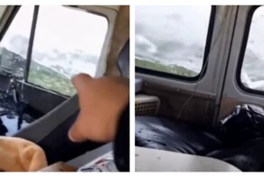 Любитель красивого дна