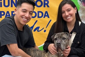 Пожилая собака обрела дом спустя шесть лет после того, как пережила нападение с мачете