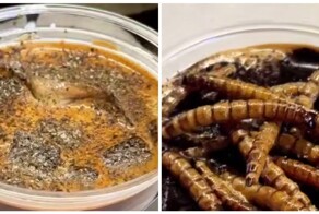 Китайский кофе с тараканами и личинками