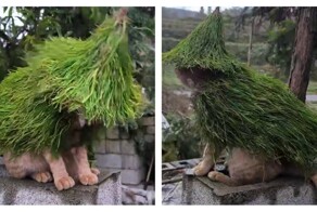 Лесной друид