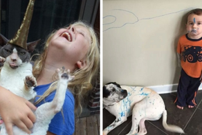 16 доказательств того, что жизнь с детьми и питомцами полна приключений