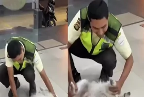 Охранник выпроваживает собаку из магазина