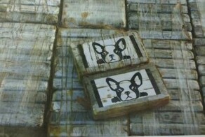 Россиянка попыталась перевезти почти 9 тонн кокаина из Венесуэлы