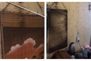 Тараканы захватили комнату в самарском общежитии