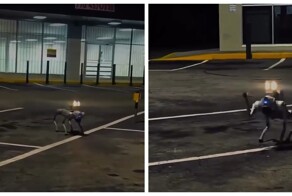 Робопсы начали патрулировать парковки в США