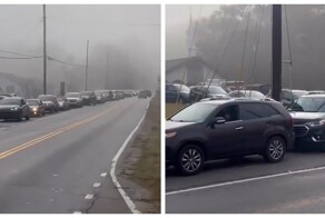 Обнаружена пробка на дороге с самым неожиданным её началом