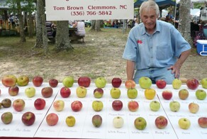 Пенсионер собрал крупнейший в мире «яблоневый ковчег»