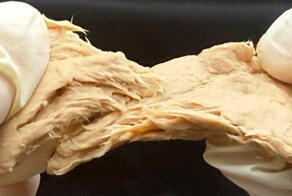 Китайские учёные создали гриб, который может заменить мясо