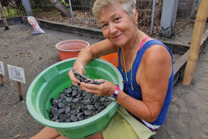 Российская пенсионерка переехала на Бали ради спасения черепах