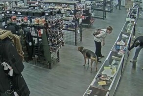 Бездомная попыталась похитить пистолет из оружейного магазина