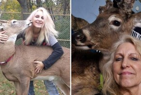 Олень убил спасшую его бабушку