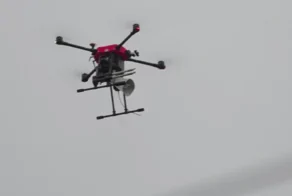 Япония тестирует «лающие дроны», чтобы отгонять медведей от людей