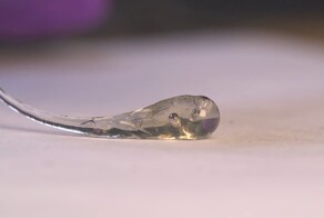 Слёзы принца Руперта: тайна пуленепробиваемого стекла, которое боится щелчка