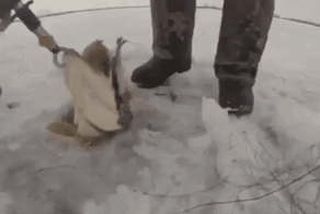 Просто гифки, всякие и&nbsp;разные