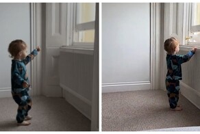 Чайка отобрала у малыша кусок пирога