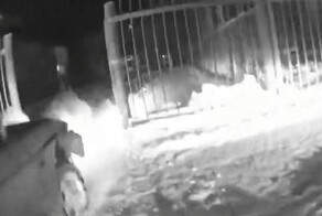 Томский лихач протащил инспектора ДПС на двери своей машины