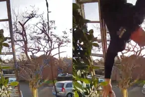 Праздничная неудача: мужчина упал с лестницы, вешая гирлянды