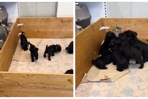 Она сама выбрала свою судьбу