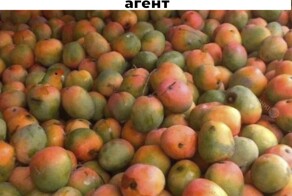 Смешные картинки