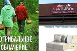 Неронка и ЖЖ: сборник каламбуров и лингвошуток