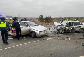 Женщина на Ниве устроила смертельное ДТП