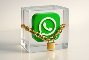 "Дело времени": в Госдуме ответили на вопрос о возможной блокировке WhatsApp*